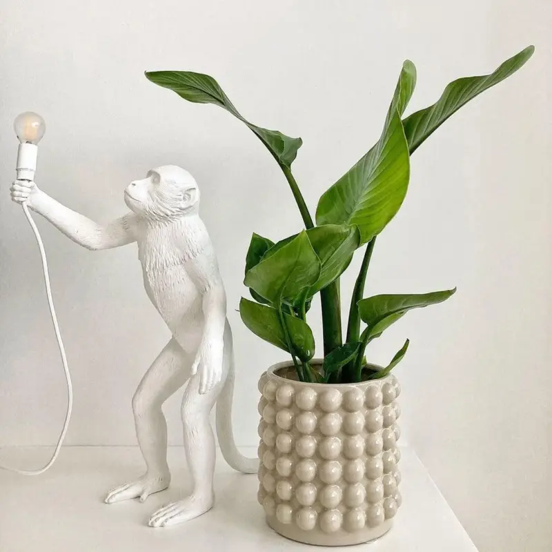 MonkeyTableLamp 26 63cbf138 102c 4968 b148 ebbf75a9de05