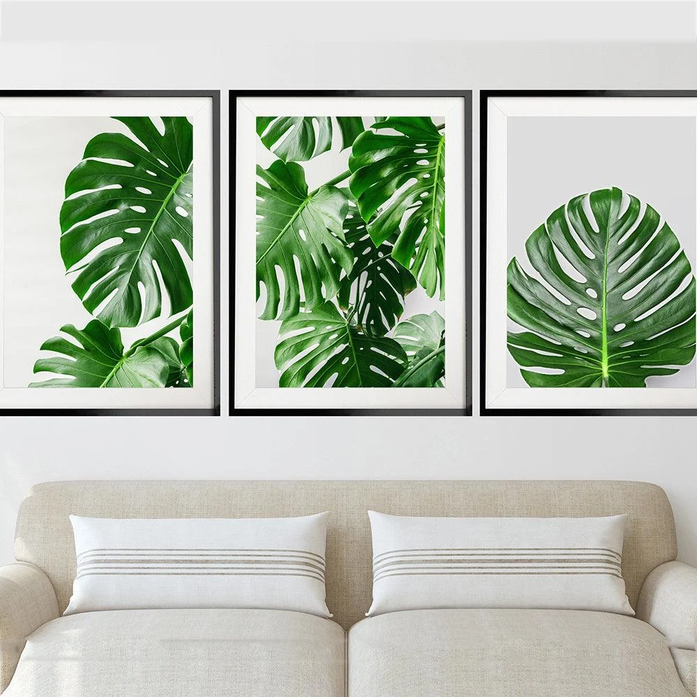 Monstera Plant Wall Canvas - Homeko