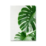 MonsteraPlantWallCanvas-Homeko3 MonsteraPlantWallCanvas Homeko3