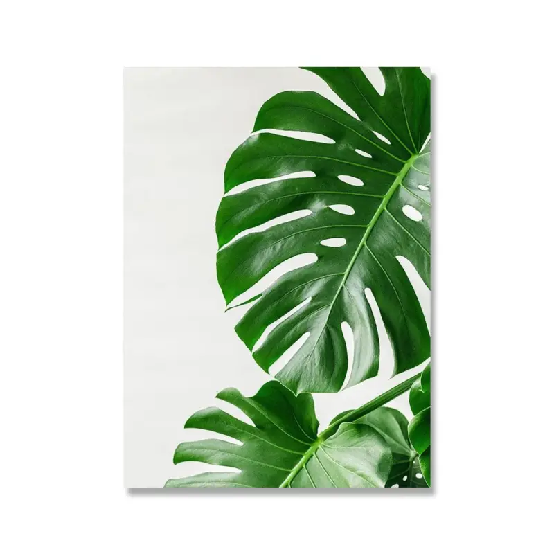 MonsteraPlantWallCanvas Homeko3