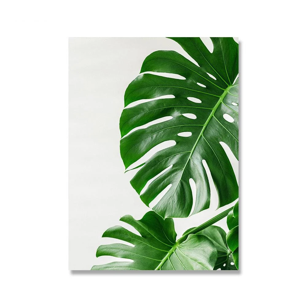 Monstera Plant Wall Canvas - Homeko