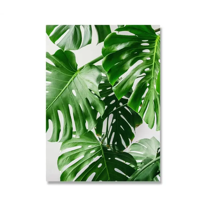MonsteraPlantWallCanvas Homeko4