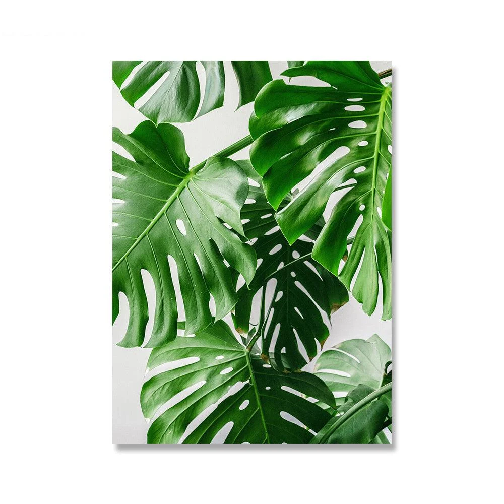 Monstera Plant Wall Canvas - Homeko