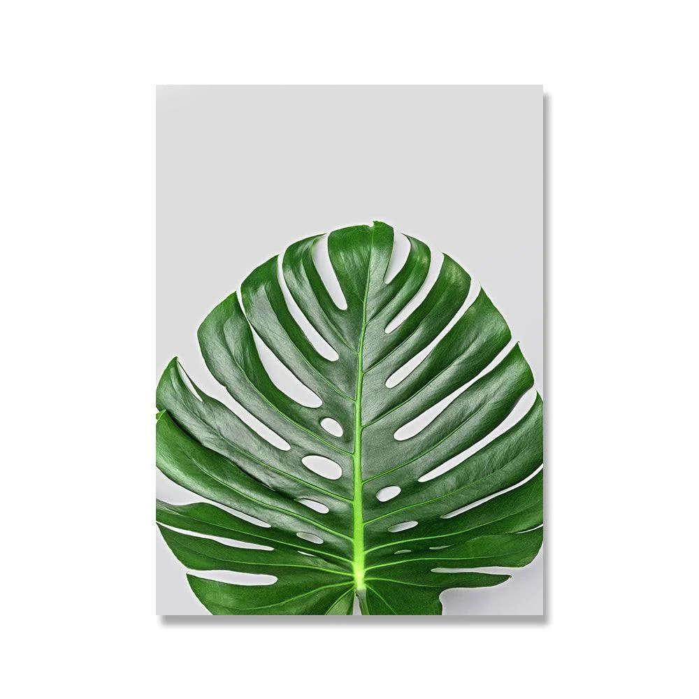 Monstera Plant Wall Canvas - Homeko