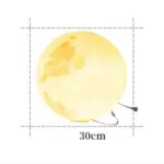Moon Outdoor Light