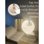 Moon Ultrasonic Air Humidifier