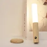 Mountable Motion Sensor Light