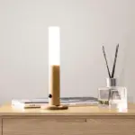 Mountable Motion Sensor Light