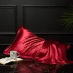 Mulberry 100 Pure Silk Pillowcase Decorfaure