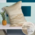 Mulberry 100 Pure Silk Pillowcase Decorfaure