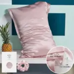 Mulberry 100 Pure Silk Pillowcase Decorfaure