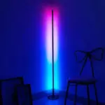 Multi Color LED Floor Lamp