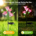 Multi Color Low Voltage Solar Powered Integrated LED Pathway Light Pack