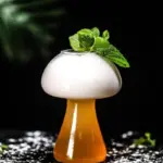 Mushroom Cocktail Glass