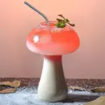 Mushroom_Design_Cocktail_Glass_with_Straw_-_-4348951 Mushroom Design Cocktail Glass with Straw