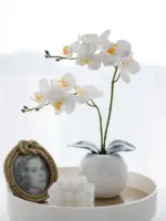 MysticFlora Artificial orchid flowers
