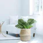 Natural-Seaweed-Woven-Handheld-Toy-Storage-Basket-Lacework-Nordic-Style-Plant-Flower-Pots-Hand-Knotted-Foldable_ee3db649-eeda-4c9b-9645-a0a64ba30338 Natural Seaweed Woven Handheld Toy Storage Basket Lacework Nordic Style Plant Flower Pots Hand Knotted Foldable ee3db649 eeda 4c9b 9645 a0a64ba30338