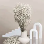 Natural Dried Baby s Breath