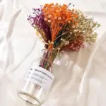 Natural Dried Baby s Breath