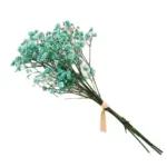 Natural Dried Baby s Breath