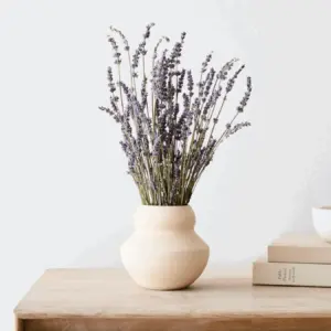 Natural Dried Lavender