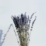 Natural Dried Lavender