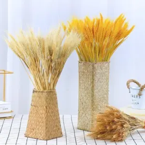 Natural Dried Wheat
