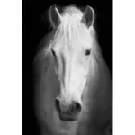 Niar_Canvas_-_-4350433 Niar Canvas