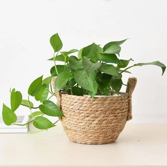 Nordic Art Rattan Flower Basket Decoration Plant Potted Living Room Flower Arrangement Container Household Debris Storage 2b5b43f2 41c3 4351 87c1 18cfda108721