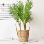 Nordic Art Rattan Flower Basket Decoration Plant Potted Living Room Flower Arrangement Container Household Debris Storage 439846f0 a1ed 46da bafc b1faef6c0544