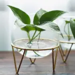 Nordic Home Decor Round Glass Vase Fish Tank Transparent Hydroponics Candlestick Living Room Decor Flower Vases 35fb2f44 dc94 41b1 afc0 5d616f3ae67c