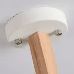 Nordic Chandelier LED Ceiling Lamp Stylish Home Lighting