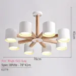 Nordic Chandelier LED Ceiling Lamp Stylish Home Lighting