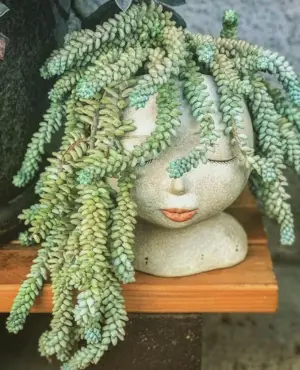 Nordic Closed Eyes Flower Pot