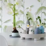 Nordic Display Tray