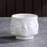 Nordic Face Planters