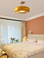 Nordic Glass Pendant Ceiling Fixture Lamp