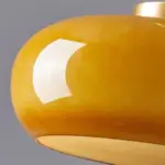 Nordic Glass Pendant Ceiling Fixture Lamp