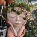 Nordic Hair Planter