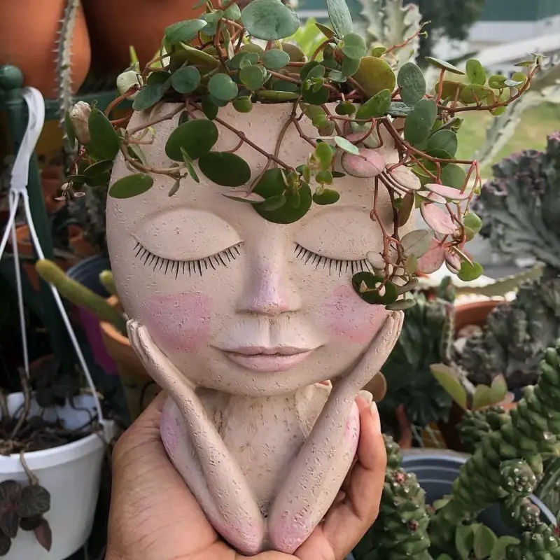 Nordic Hair Planter