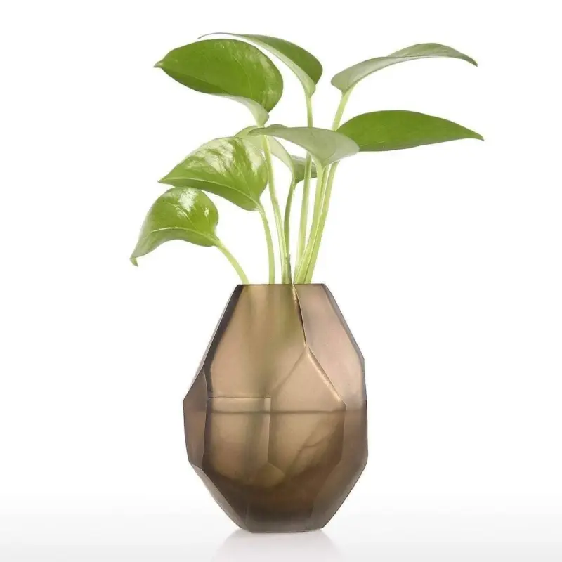 Nordic Irregular Glass Flower Vase Stylish Decor