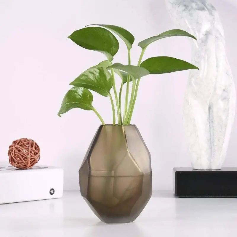 Nordic Irregular Glass Flower Vase Stylish Decor