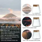 Nordic_Simple_Transparent_Glass_Vases_-_-4356552 Nordic Simple Transparent Glass Vases