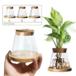 Nordic_Simple_Transparent_Glass_Vases_-_-4356555 Nordic Simple Transparent Glass Vases