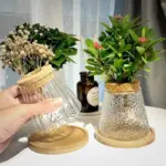 Nordic_Simple_Transparent_Glass_Vases_-_-4356562 Nordic Simple Transparent Glass Vases