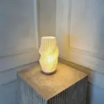NyLampa7
