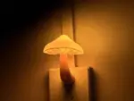 O1CN01CUoyTX1C3xFo6ae5j 0 tbbala jpg 450x10000q90 jpg