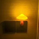 O1CN01DEwRvW1OEjssexhmE