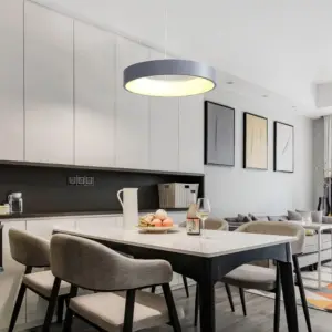 Homeko LED Ribbed Hoop Pendant Ceiling Lights