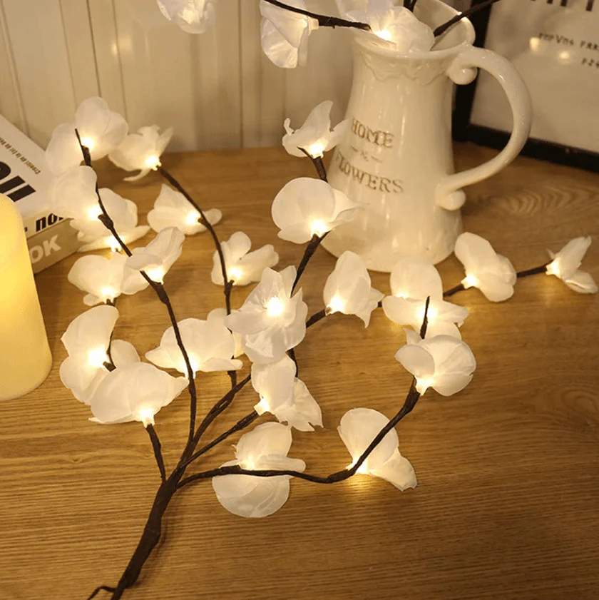 Orchid